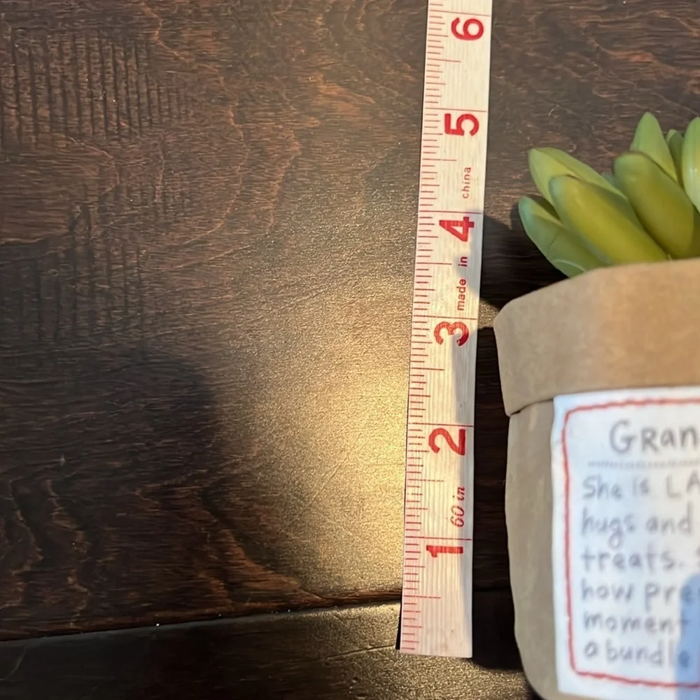 Grandma faux succulent plant